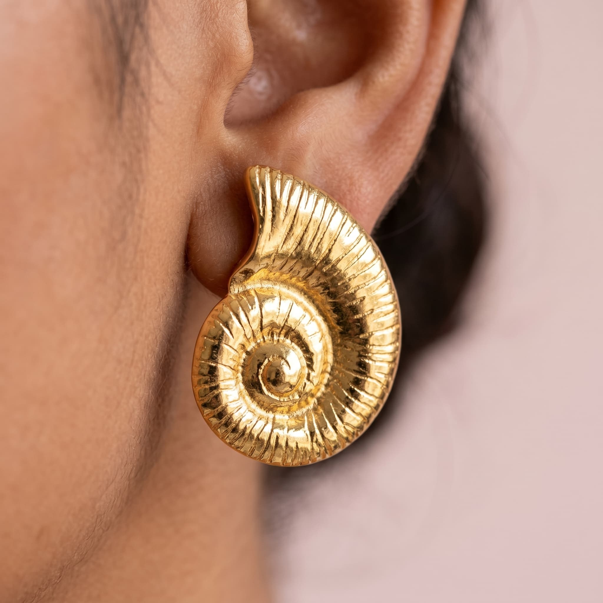 golden swirl shell studs